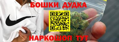 МДПВ Пушкино