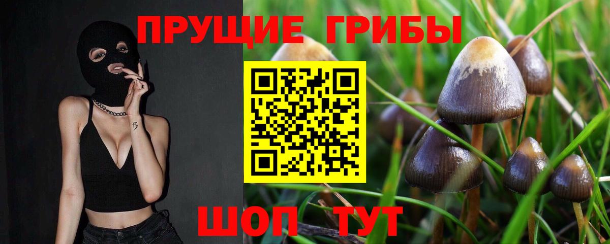 Псилоцибиновые грибы Psilocybe  Вход с VPN  Ржев 